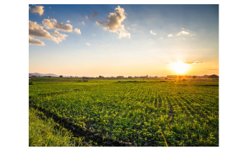 Reduced Consumption of Animal-Sourced Foods can Help Mitigate Climate Change