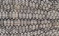 Fungi-Based Leather Could be More Sustainable than Animal and Plastic Versions