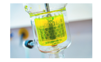 New Process for Producing Ferulic Acid from Wood Waste Using Enzymes
