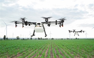 Global Warming Could Lead to Depletion of Soil Phosphorus