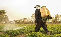 Researchers Quantify Worldwide Phosphorus Loss Due to Soil Erosion