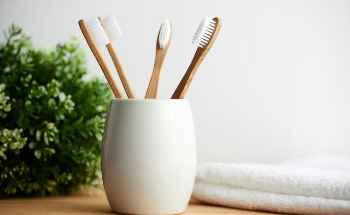 Researchers Examine Sustainability of Different Toothbrush Models