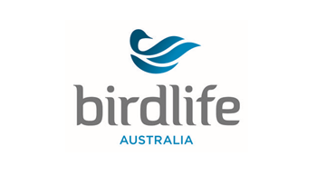 Aussie Backyard Bird Count Essential for Conservation as We Head into Bushfire Season