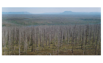 Extent of Arctic Pollution is Worse Than Previously Believed
