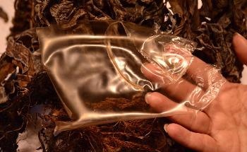 Art and Marine Biotech Combine to Help Solve Global Plastics Problem