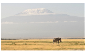 Study Reveals Global Warming Accelerates the Loss of Biodiversity