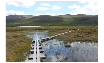 Rising Temperatures are Increasingly Thawing Permafrost Soils