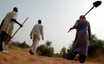 IFAD and GCF Scale-up Action to Improve Life for Millions of People and Restore Ecosystems in Africa’s Great Green Wall
