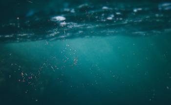 The True Extent of Microplastic Pollution Caused by Clothing Revealed