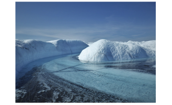 Microbes in Meltwater Stream Sediment Responsible for Greenland Melting
