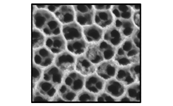 New Photosensitive-Nanostructured Electrodes for Green Hydrogen Production