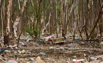 River-Borne Plastic Pollution Considerably Affects Southeast Asian Mangroves