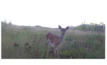 Anthropogenic Resistance Vital to Ensure Sustainable Landscapes for Wildlife