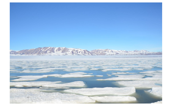 Future Ice Thinning in the Arctic Could Mean More Toxic Plankton Algae