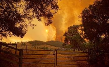 Bushfire Prediction Tech to Bolster Emergency Response Efforts