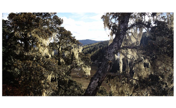 Climate Change can Accelerate Transmission of Wildlife Pathogens to Humans