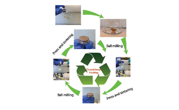 Biobased-Polymer Membrane is Suitable for Oil Spill Remediation