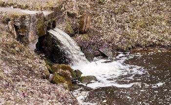 Using AI to Detect Sewage Leaks