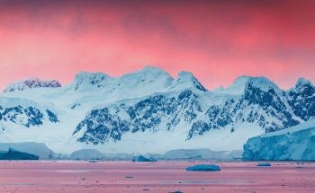 Temperature Increase of up to 1.5 Degrees Predicted in Antarctic Peninsula by 2044
