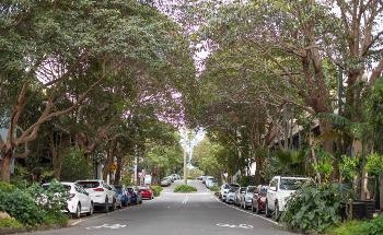 Turning Grey to Green in Sydney's Urban Jungle
