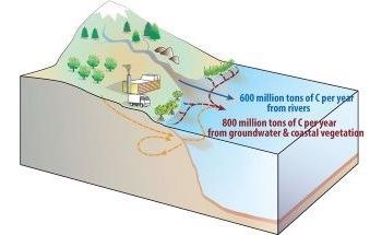 Study Offers New Estimates of Elusive Component of the Global Carbon Cycle