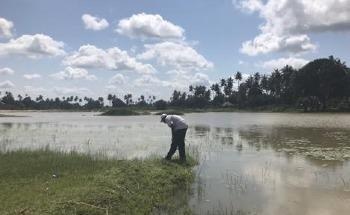 Early Interventions may Prevent Transmission of Vector-Borne Diseases in Changing Climate