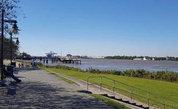 Controlling Mississippi River Causes Faster Carbon Transport to Sea