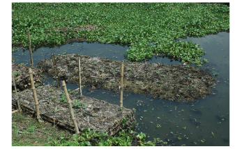 Floating Gardens Could Ensure Sustainable Farming with Changing Climate
