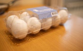 A Safe and Cheap Technology for the Disinfection of Packaged Eggs