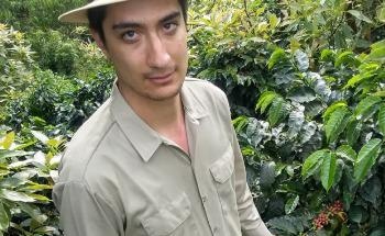 Study Shows Effect of Changing Climate Conditions on Colombia’s Coffee Production