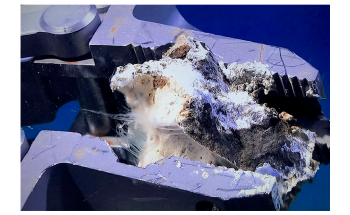 Deep-Sea Bacteria Release Excess Carbon into the Ocean and Atmosphere