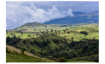 Researchers Urge for More Efficient Planning for Biodiversity Conservation