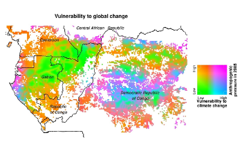 Study Shows the Significant Effect of Climate Change on Central African Forests