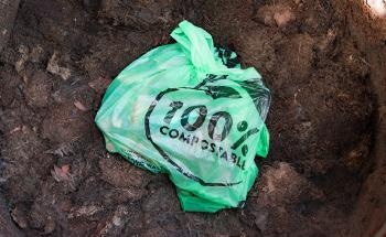 Built in Enzymes Could Solve the Plastic Pollution Problem
