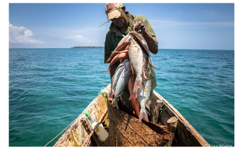 Study Assesses Long-Term Impacts of Two Fisheries Management Methods