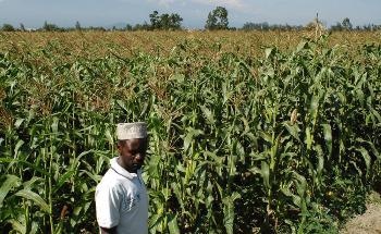 Tanzania and IFAD Partner to Boost Productivity, Improve Food Security and Build Resilience of Small-Scale Farmers in the Face of the Climate Change