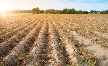 Adapting to Extreme Climate Change Poses a Challenge to Many Farmers