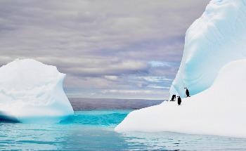 The World’s Largest Iceberg Breaks Free of Antarctica