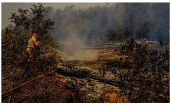 Natural Climate Conditions were Responsible for Recent Drought in the Pantanal