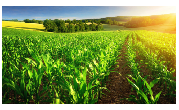 Study Reveals Corn Ethanol Use Reduces Carbon Footprint, Diminishes Greenhouse Gases