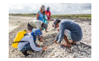 Study Detects Plastic in All Marine Habitats at the Galapagos Islands