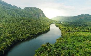 ABB Strengthens Commitment to Reduce Carbon Emissions