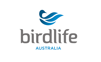 Mass Galah Death Prompts Alarm Over Mouse Poison Impacts on Endangered Birds