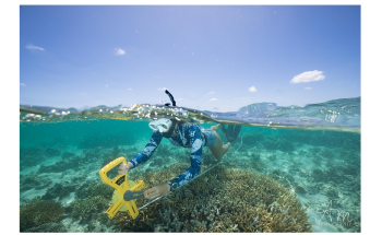 Declining Coral Health may Contribute to Reduced Global Calcification Rates