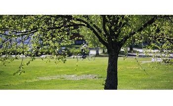 Existing Carbon Footprint Standards can Lead to Green Infrastructure