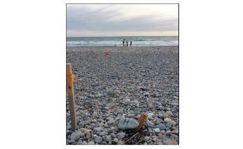 Research Sheds Light on the Mysteries of New England’s Beaches