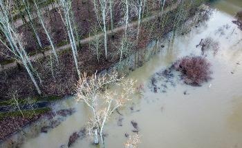 Plant Responses to Floods are Crucial in Modeling Soil Carbon Storage