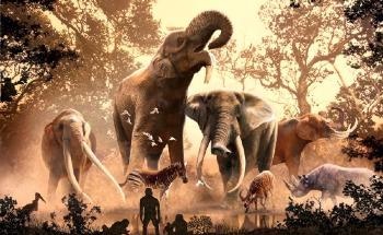 Climate Change Led to Extinction of Elephants and Their Forebears