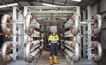 Scottish Leather Group Confirmed as Lowest Carbon Leather Manufacturer in the World