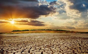 Social Norms Influence People’s Behavior Toward Climate Protection Drives